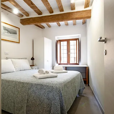 Tiny Opera Loft * פסארו